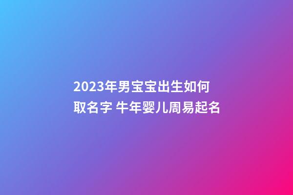2023年男宝宝出生如何取名字 牛年婴儿周易起名